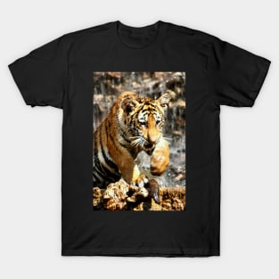 Bengal Tiger Cub Enjoying Water Play T-Shirt